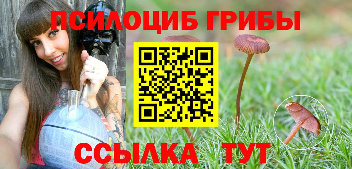Гусиноозёрск  наркошоп  Вход с VPN  Галлюциногенные грибы Psilocybe 
